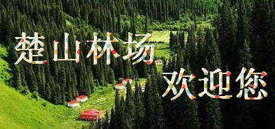 ����ͼƬ��