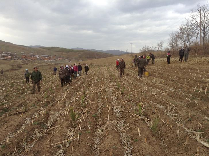 ˮԴ������