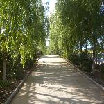 �����ֵ�